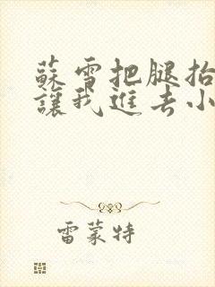 苏雪把腿抬起来让我进去小说