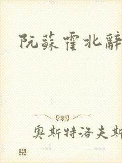 阮苏霍北辞小说