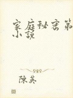 家庭秘密第3集小说
