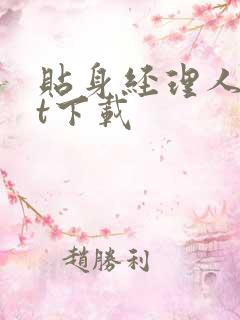 贴身经理人txt下载