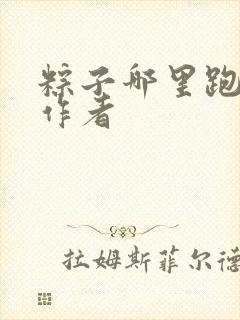 粽子哪里跑小说作者