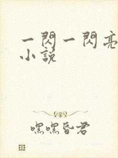 一闪一闪亮晶晶小说