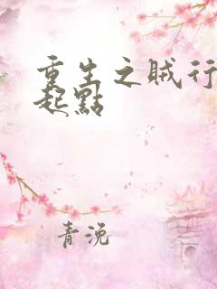 重生之贼行天下起点