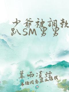 少爷被调教室跪趴SM男男