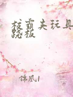 校霸夹玩具坐跷跷板