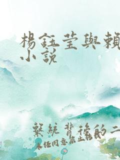 杨钰莹与赖昌星小说