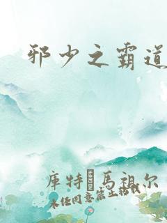 邪少之霸道娇妻