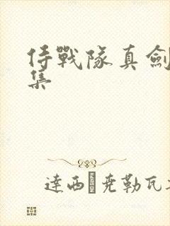侍战队真剑者全集