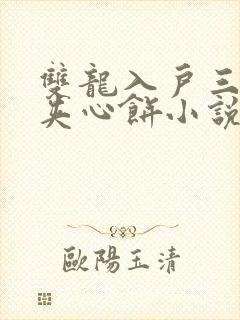 双龙入户三人行夹心饼小说