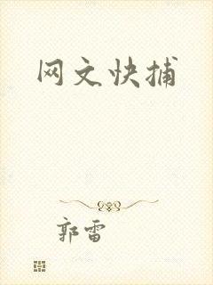 网文快捕
