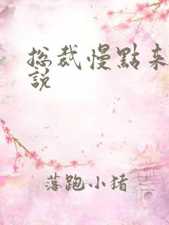 总裁慢点来 小说