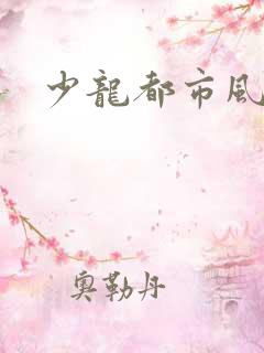 少龙都市风流行