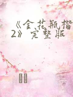 《金花瓶楷梅花2》完整版