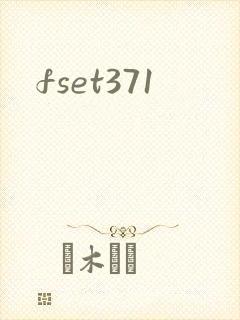 fset371
