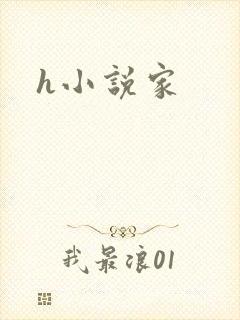h小说家