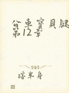 公车宝贝腿开点第12章