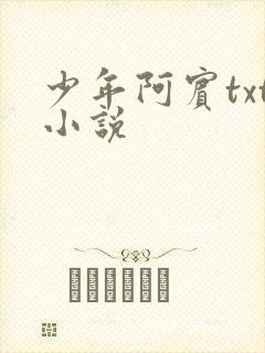 少年阿宾txt小说