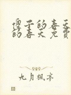 傻子的春天傻子的春天免费读