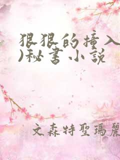 狠狠的撞入(h)秘书小说