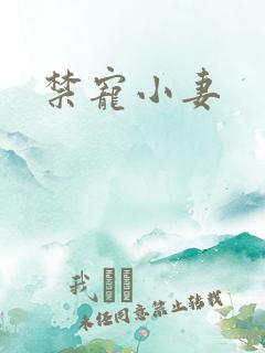 禁宠小妻