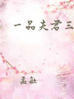 一品夫君三流妻