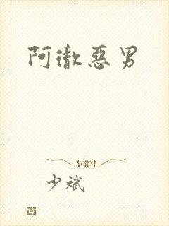 阿彻恶男