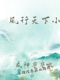 风行天下小说