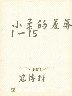 小柔的羞辱日记1一15