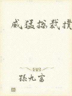 威猛总裁扑娇妻