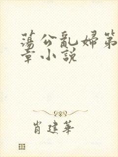 荡公乱妇第51章小说