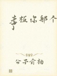 老板你那个太长了