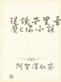 从镜子里看我怎么c你小说