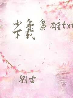 少年枭雄txt下载