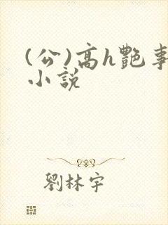(公)高h艳事小说