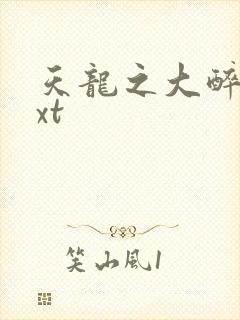 天龙之大醉侠txt