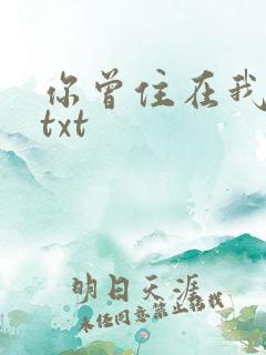 你曾住在我心上txt