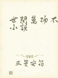 世间万物不及你小说