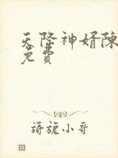 天降神婿陈黄皮免费