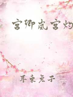 宫卿岚宫灼小说