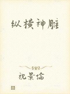 纵横神雕