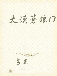 大漠苍狼17