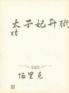 太子妃升职记txt