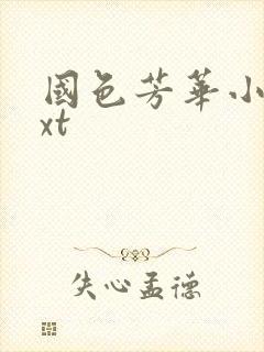 国色芳华小说txt