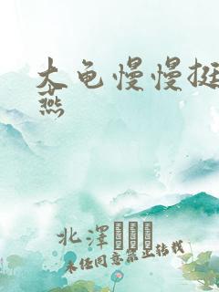 大龟慢慢挺进张燕