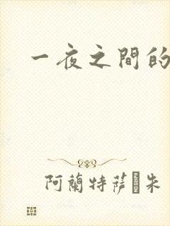 一夜之间的天才