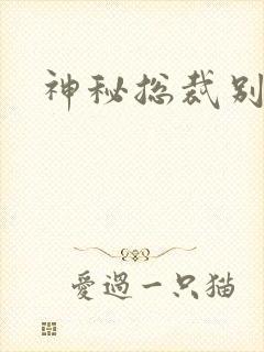 神秘总裁别玩我