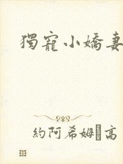 独宠小娇妻