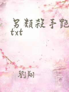 另类杀手艳福星txt