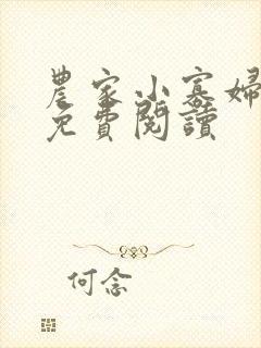 农家小寡妇全文免费阅读