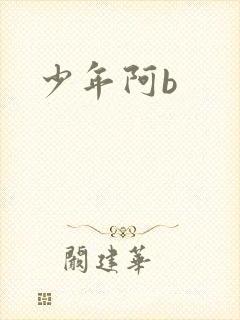少年阿b
